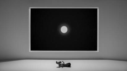 Gallery item