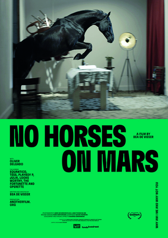 No Horses on Mars