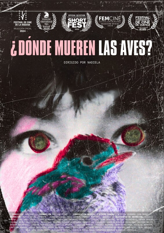Where do birds die
